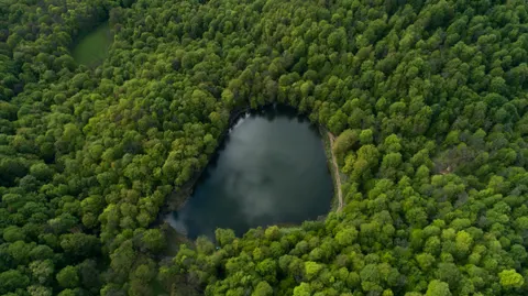 Gosh Lake